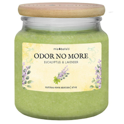 Odor No-More 16oz Jar